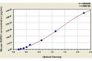 Typical Standard Curve (RSPO1 ELISA 试剂盒)