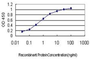 Detection limit for recombinant GST tagged ZNF265 is approximately 0. (ZNF265 抗体  (AA 1-106))