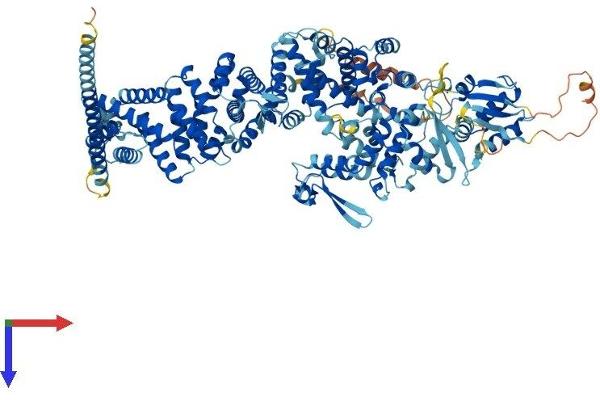 UBE3B Protein (AA 1-1070) (His tag)