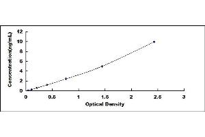 Typical standard curve (HNF1B ELISA 试剂盒)