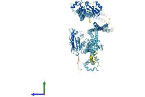 Protein Structure (PS) image for Structural Maintenance of Chromosomes 2 (SMC2) (AA 1-1191) protein (His tag) (ABIN7564566)