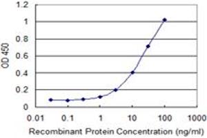 Detection limit for recombinant GST tagged C17orf37 is 0. (C17orf37 抗体  (AA 1-115))