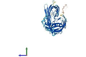 AlphaFold protein structure predicition of Human Recombinant SAMM50 Protein, UniprotID Q9Y512