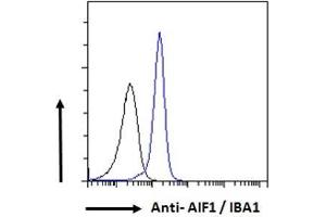ABIN190906 Flow cytometric analysis of paraformaldehyde fixed K562 cells (blue line), permeabilized with 0. (Iba1 抗体  (C-Term))