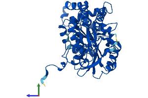 Protein Structure (PS) image for Cysteine-S-conjugate beta-Lyase (CCBL1) (AA 1-422) protein (His tag) (ABIN7548729)