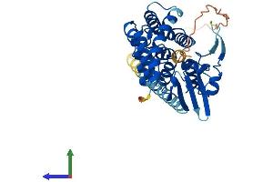 Protein Structure (PS) image for Prostaglandin E Synthase 2 (PTGES2) (AA 1-377) protein (His tag) (ABIN7550747)