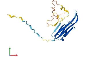 Protein Structure (PS) image for Crystallin, alpha B (CRYAB) (AA 1-175) protein (His tag) (ABIN7562991)