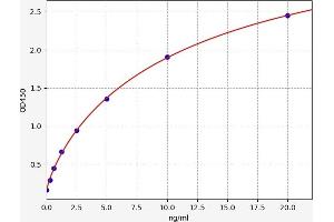 Typical standard curve (UBA52 ELISA 试剂盒)
