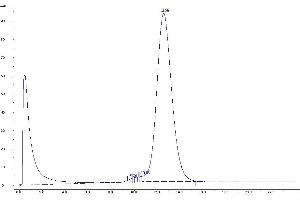 Purification via GPC Chromatography (Step 2) (TAMRA 抗体)