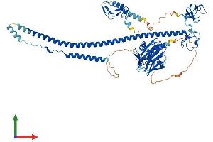 Protein Structure (PS) image for Tripartite Motif Containing 25 (TRIM25) (AA 1-630) protein (His tag) (ABIN7555819)