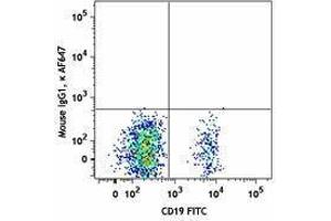 Flow Cytometry (FACS) image for anti-Chemokine (C-X-C Motif) Receptor 5 (CXCR5) antibody (Alexa Fluor 647) (ABIN2657144) (CXCR5 抗体  (Alexa Fluor 647))
