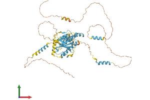 Protein Structure (PS) image for Dynein, Cytoplasmic 1, Light Intermediate Chain 1 (DYNC1LI1) (AA 1-523) protein (His tag) (ABIN7553614)