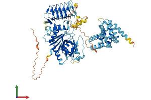 Protein Structure (PS) image for Eukaryotic Translation Initiation Factor 2B, Subunit 5 Epsilon, 82kDa (EIF2B5) (AA 1-717) protein (His tag) (ABIN7559349)