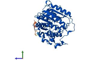 Protein Structure (PS) image for Histone Deacetylase 8 (HDAC8) (AA 1-377) protein (His tag) (ABIN7559917)