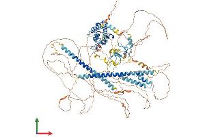 Protein Structure (PS) image for LIM and Calponin Homology Domains 1 (LIMCH1) (AA 1-1057) protein (His tag) (ABIN7563714)