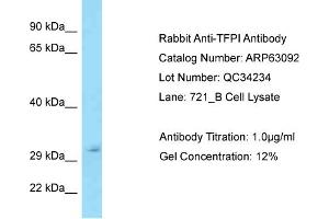 Western Blotting (WB) image for anti-Tissue Factor Pathway Inhibitor (Lipoprotein-Associated Coagulation Inhibitor) (TFPI) (Middle Region) antibody (ABIN971865) (TFPI 抗体  (Middle Region))