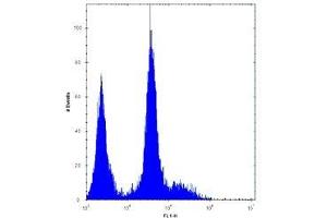Flow Cytometry (FACS) image for anti-Platelet Derived Growth Factor Receptor alpha (PDGFRA) (AA 1048-1077) antibody (ABIN3032254)