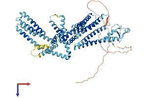 Ring Finger Protein 145 (RNF145) (AA 1-663) protein (His tag)
