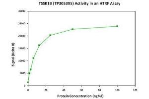 Bioactivity measured with Activity Assay