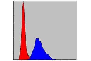 Flow cytometric analysis of NIH/3T3 cells using KID mouse mAb (blue) and negative control (red). (KIF22 抗体)