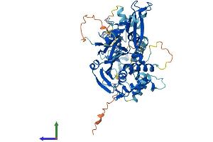 Protein Structure (PS) image for Ubiquitin Specific Peptidase 22 (USP22) (AA 1-525) protein (His tag) (ABIN7544919)