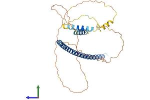 Protein Structure (PS) image for PRKC, Apoptosis, WT1, Regulator (PAWR) (AA 1-333) protein (His tag) (ABIN7560267)