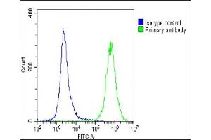 Overlay histogram showing U-2 OS cells stained with (ABIN656946 and ABIN2846135)(green line). (DUX4 抗体  (C-Term))