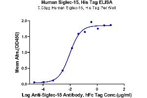 ELISA image for Sialic Acid Binding Ig-Like Lectin 15 (SIGLEC15) (AA 20-263) protein (His-Avi Tag) (ABIN7275607)