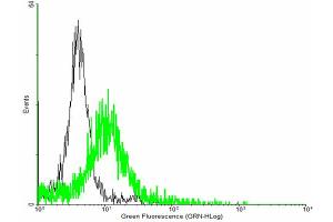 FACS analysis of negative control 293 cells (Black) and SMAD6 expressing 293 cells (Green) using SMAD6 purified MaxPab mouse polyclonal antibody. (SMAD6 抗体  (AA 1-496))