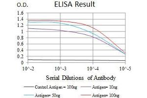 Black line: Control Antigen (100 ng), Purple line: Antigen(10 ng), Blue line: Antigen (50 ng), Red line: Antigen (100 ng), (MAPK14 抗体  (AA 299-360))