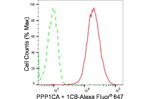 Flow cytometric analysis of PPP1CA + 1CB expression in HepG2 cells using PPP1CA + 1CB antibody (ABIN7799892), 1:2,000). (Recombinant PPP1CA + 1CB 抗体)