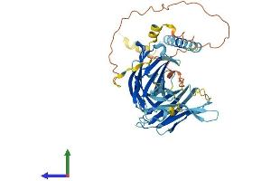 Protein Structure (PS) image for Synaptotagmin XII (SYT12) (AA 1-421) protein (His tag) (ABIN7544061)
