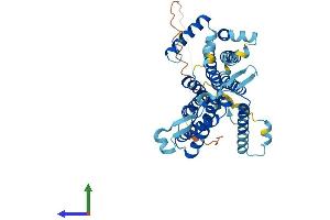Protein Structure (PS) image for CDP-Diacylglycerol Synthase (Phosphatidate Cytidylyltransferase) 1 (CDS1) (AA 1-461) protein (His tag) (ABIN7553274)