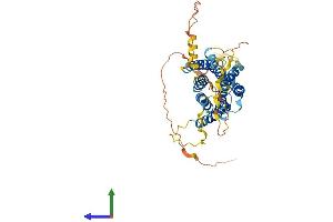 Protein Structure (PS) image for G Protein-Coupled Receptor 150 (GPR150) (AA 1-434) protein (His tag) (ABIN7548153)