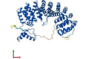 Protein Structure (PS) image for Armadillo Repeat Containing 6 (ARMC6) (AA 1-501) protein (His tag) (ABIN7552303)