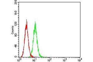 Flow Cytometry (FACS) image for anti-Glutamate Receptor, Ionotropic, Kainate 3 (GRIK3) (AA 32-173) antibody (ABIN5611157)