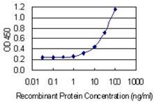Detection limit for recombinant GST tagged OSTM1 is 1 ng/ml as a capture antibody. (OSTM1 抗体  (AA 183-282))