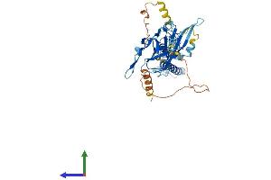 Protein Structure (PS) image for Potassium Inwardly-Rectifying Channel, Subfamily J, Member 16 (KCNJ16) (AA 1-418) protein (His tag) (ABIN7554294)