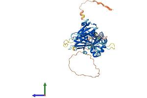 AlphaFold protein structure predicition of Mouse Recombinant Tfcp2l1 Protein, UniprotID Q3UNW5 (TFCP2L1 Protein (AA 1-479) (His tag))