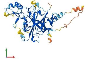 Protein Structure (PS) image for Programmed Cell Death 2 (PDCD2) (AA 1-343) protein (His tag) (ABIN7563279)