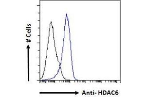 ABIN5539540 Flow cytometric analysis of paraformaldehyde fixed A431 cells (blue line), permeabilized with 0. (HDAC6 抗体  (C-Term))