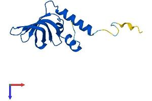 LSM10 Protein (AA 1-122) (His tag)
