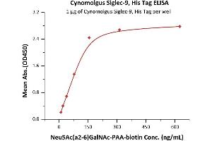 Immobilized Cynomolgus Siglec-9, His Tag (ABIN6951000,ABIN6952291) at 10 μg/mL (100 μL/well) on Nickel Coated plate, can bind Neu5Ac(a2-6)GalNAc-n with a linear range of 10-156 ng/mL (QC tested). (SIGLEC9 Protein (AA 20-350) (His tag))