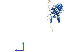 Protein Structure (PS) image for ATG16 Autophagy Related 16-Like 1 (ATG16L1) (AA 1-607) protein (His tag) (ABIN7551747)