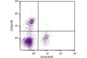 Human peripheral blood lymphocytes were stained with Mouse Anti-Human CD56-PE. (CD56 抗体  (PE-Cy5.5))