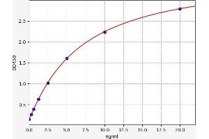 Typical standard curve (Integrin beta 2 ELISA 试剂盒)
