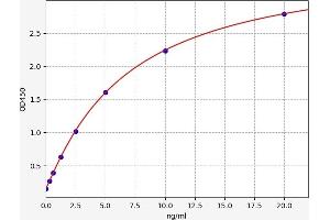 Integrin beta 2 ELISA 试剂盒