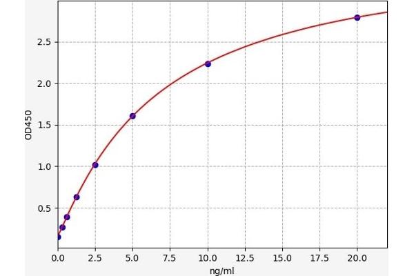 Integrin beta 2 ELISA 试剂盒