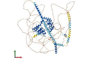 Protein Structure (PS) image for Myosin Phosphatase, Target Subunit 1 (PPP1R12A) (AA 1-1030) protein (His tag) (ABIN7554659)