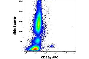 Flow cytometry surface staining pattern of human peripheral whole blood stained using anti-human CD85g (17G10. (LILRA4 抗体  (APC))